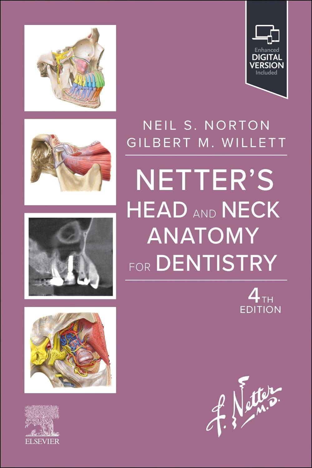 Anatomy