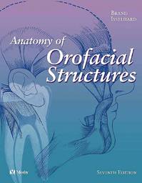 Anatomy Of Orofacial Structures